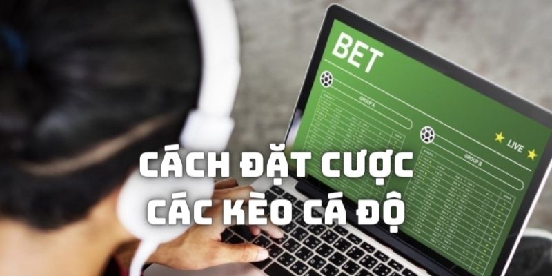 Cách đặt cược chung cho tất cả các sảnh đấu sports online