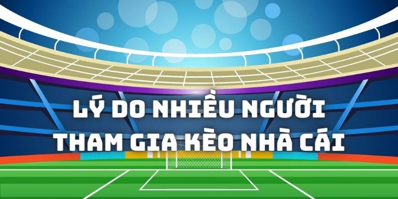 Những lý do mà nhiều người tham gia cá cược kèo nhà cái